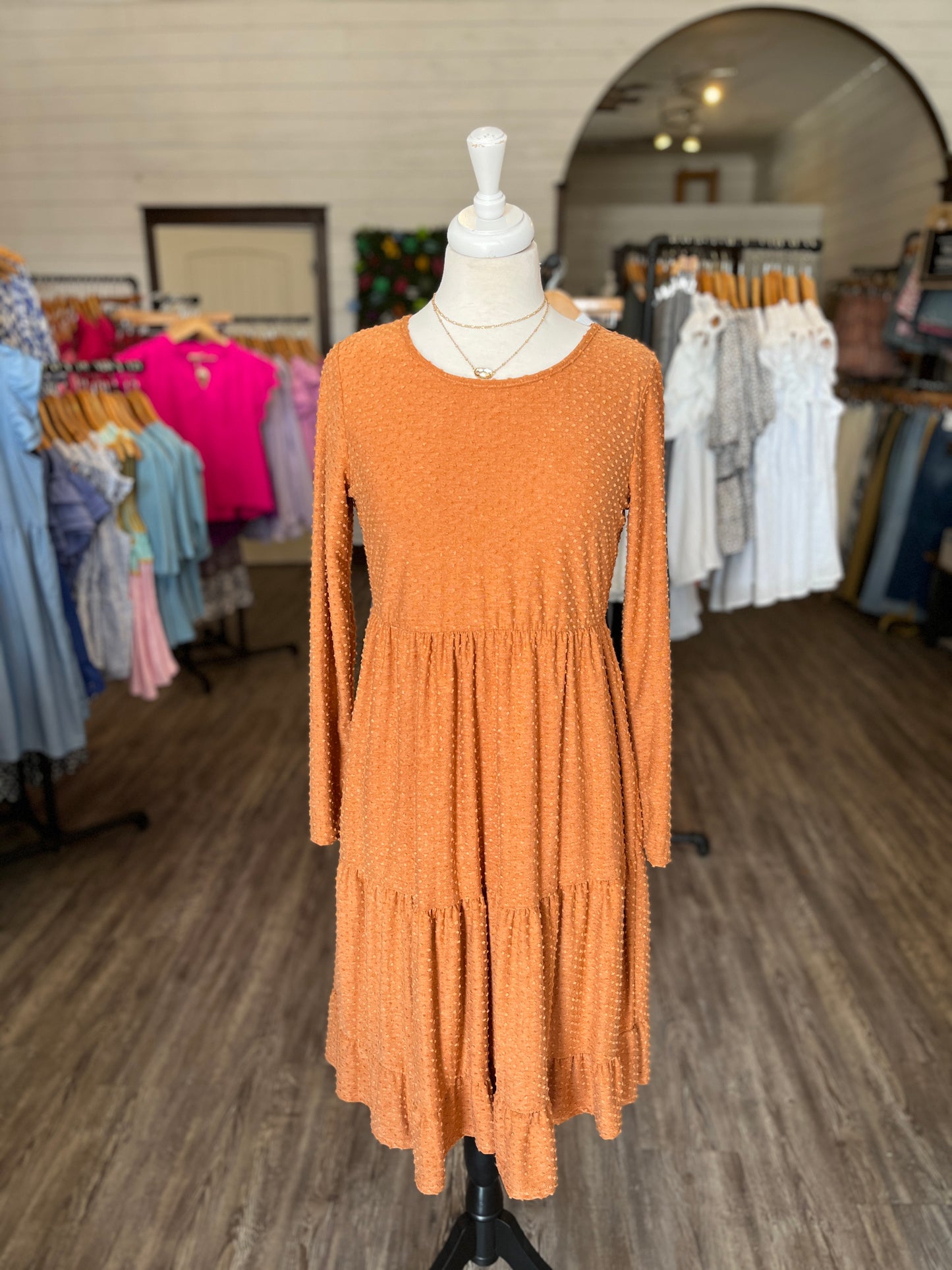 Burnt Orange Swiss Dotted Long Sleeve Midi Dress
