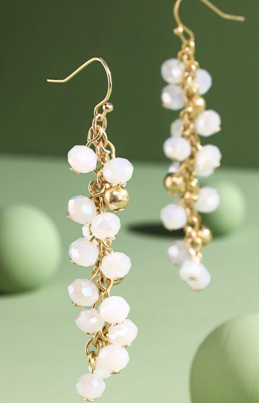 Glass Bead Fringe Earrings