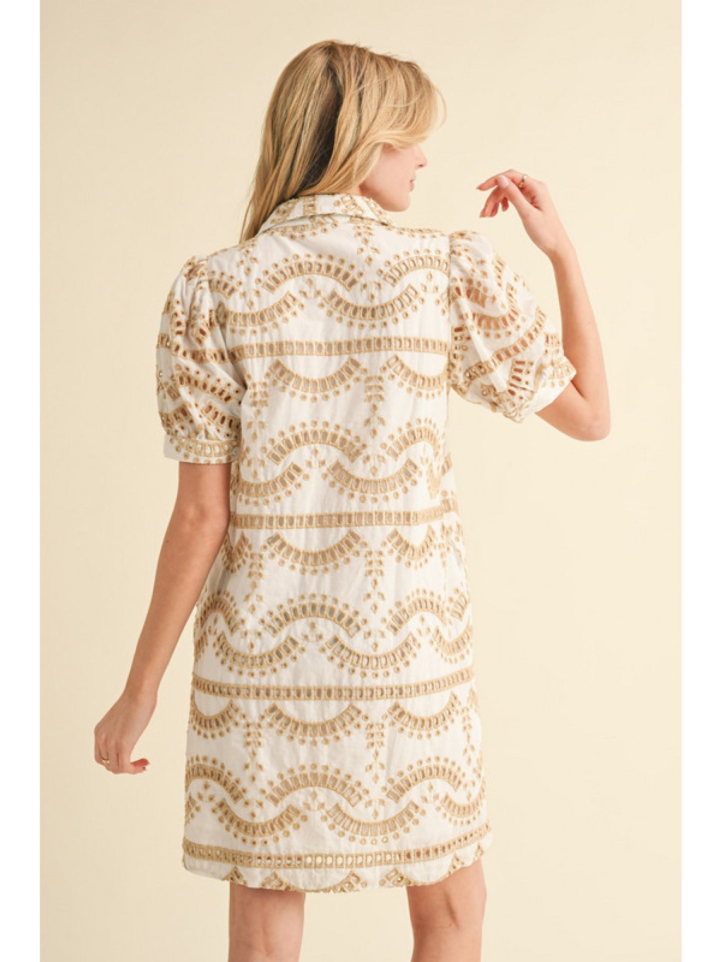 Taupe Embroidered Short Puff Sleeve Mini Dress