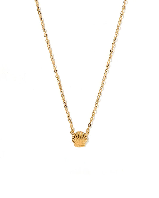 LINNY CO Necklace - Marina Shell