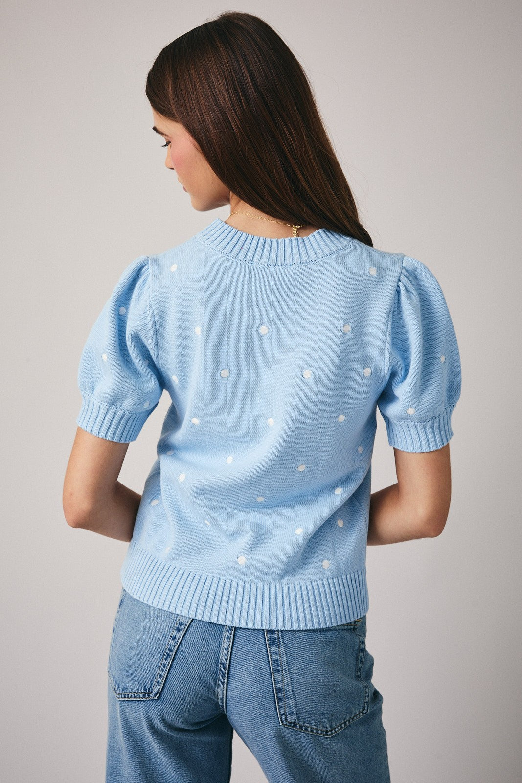 Light Blue-Ivory Dot Short Sleeve Polka Dot Embroidered Sweater