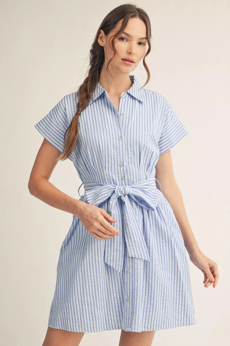 Blue Striped Short Sleeve Mini Shirt Dress