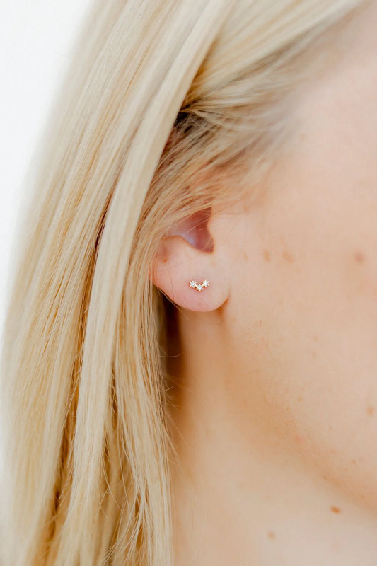 LINNY CO Screwback Stud Earrings - Sienna